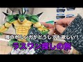 【一番くじ】一番くじ　ドラゴンボール VSオムニバスZ（後編）