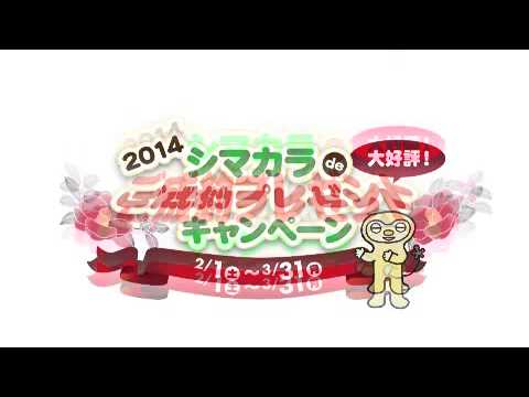 シマカラ2 3月ご成約キャンペーン篇15秒