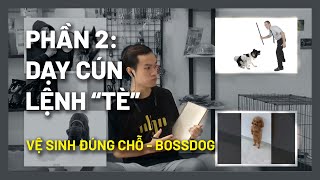 Dạy chó đi vệ sinh-cũ-đã có cách mới 2023-Dạy cún nghe lệnh "TÈ" | Chi tiết - thành công | BossDog