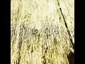 Caustic Waves - Knocking At My Door #grunge #2000smusic #altmetal #kerbdog #deftones