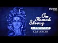 Om Namah Shivay LoFi mix I Om Voices