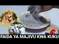 FAIDA YA MAJIVU KWA KUKU Jinsi Ya Kuitumia Majivu Kwenye Ufugaji Kuku