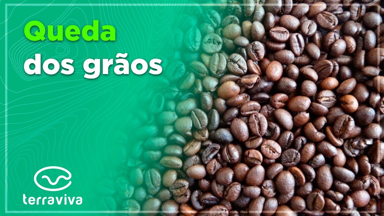 Dia de queda. Confira o fechamento do mercado de commodities agrícolas desta terça-feira (16)