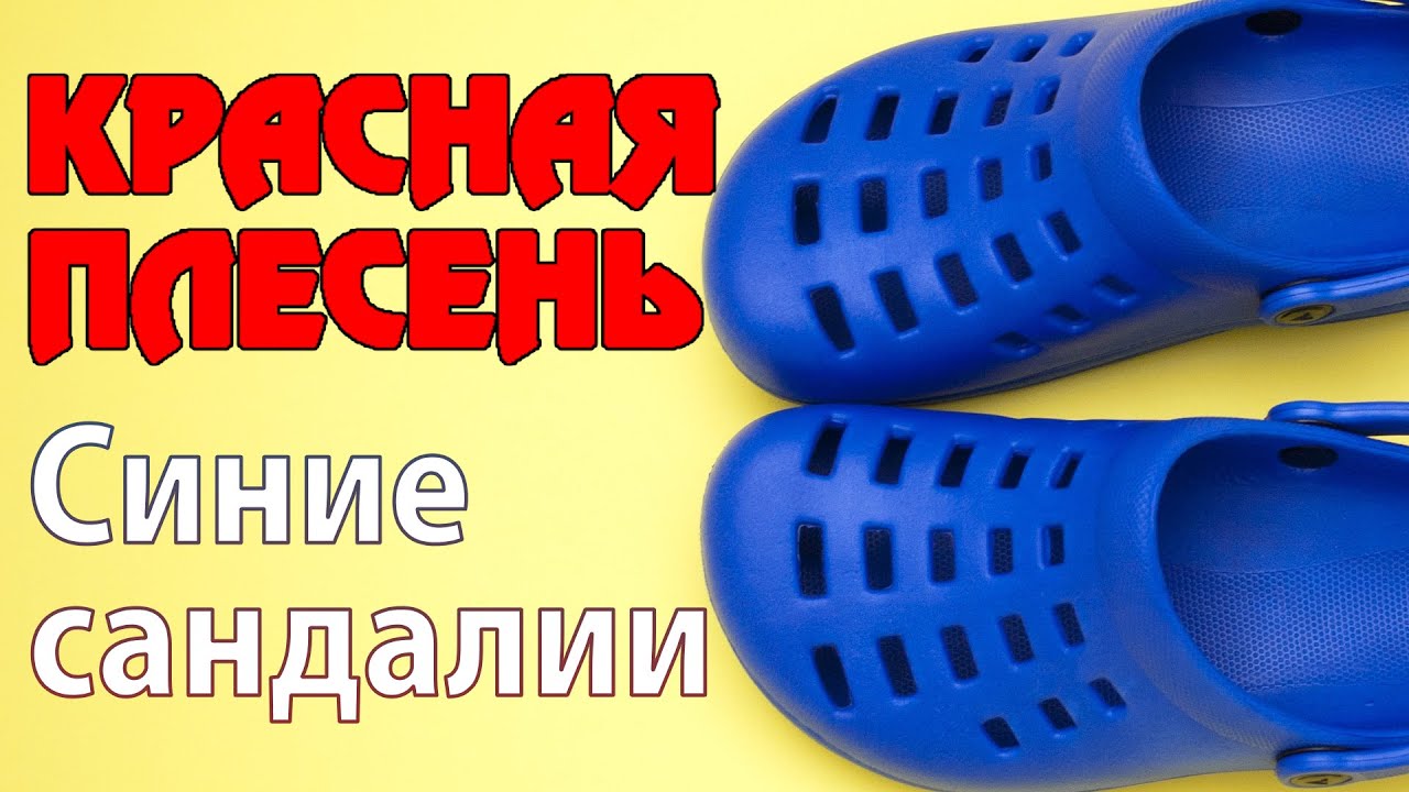 Сандали песня