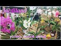 #Орхидеи🌸в магазине Jardiland 🤩И снова мини Бабочка 🦋!