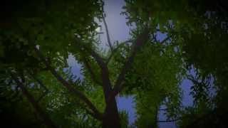 Pentalith: procedural terrain, sky, trees, vegetation.