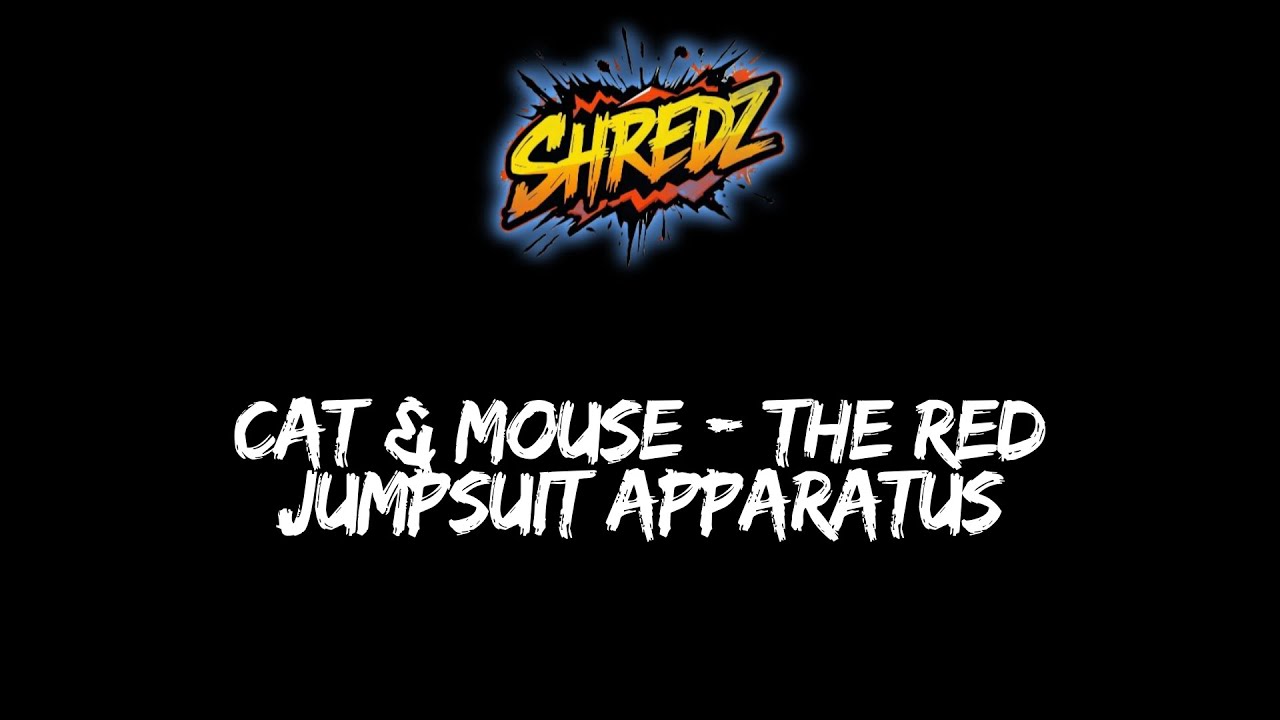 Cat And Mouse - The Red Jumpsuit Apparatus (рок-кавер)