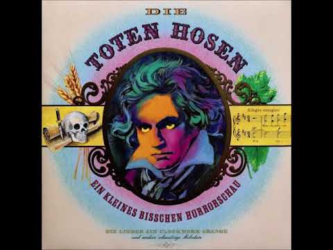 Die Toten Hosen - 1000 Gute Gründe