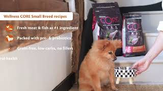 Wellness Core Small Breed: Grain-Free Kibble, Crafted with Love ❤️🐾
