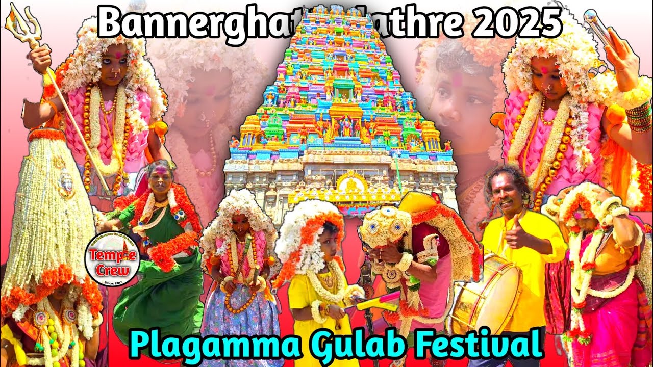 Bannerghatta Jathre 2025 | Plagamma Gulab Festival | Sri Champakadhama Swamy Temple | TempleCrew