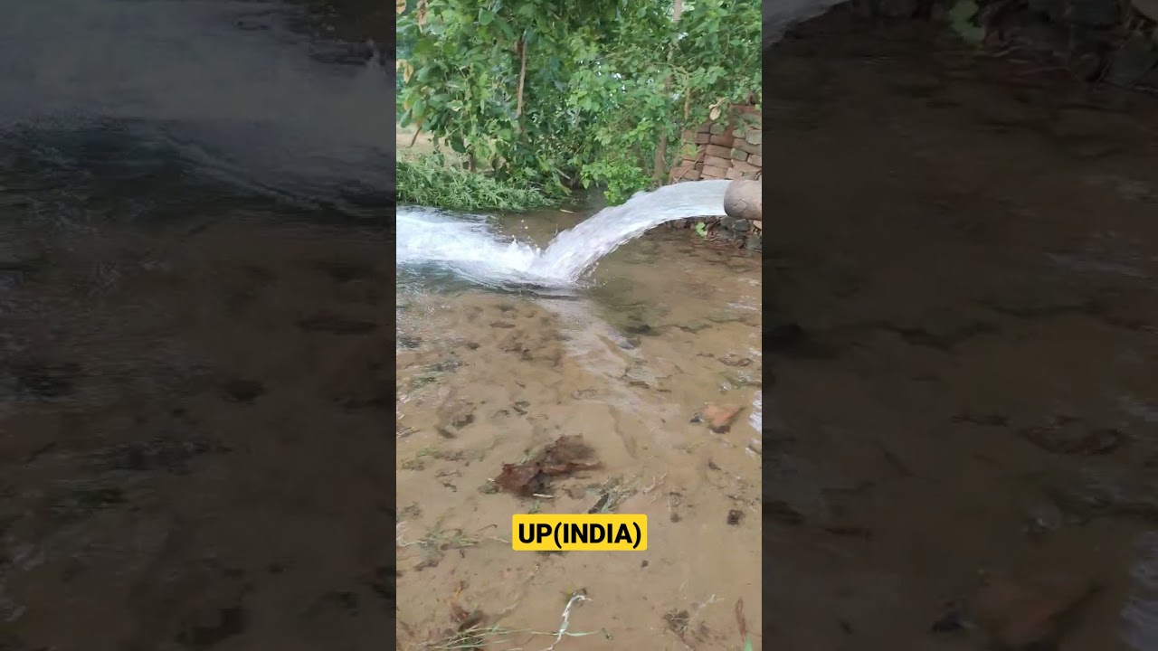 mjpru news today(02/06/2021) | morning in village | village life in India | mjpru exam breaking news