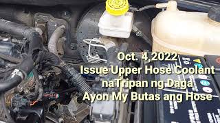 My Mg5 Kinagat Ng Daga Ang Upper Hose Coolant My Yecar