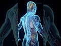 💔Diabetes is More Than Medication - Learn the ways to Healing with Dr. Anupam Sharma #shortsvideo