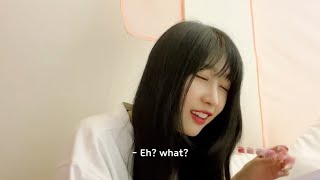 Everglow Sihyeon Vs Mia Hilarious Quarrel