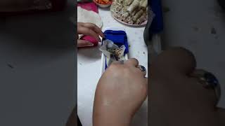 Lumpia Manual Machine Maker  siomai , sushi, longanisa Net Worth
