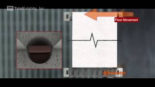 Wall Tension / Compression 3D Animation