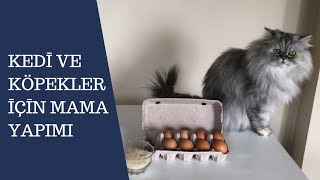 Kedi ve köpekler için 2 süper mama tarifi, kendin yap, DIY