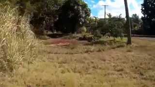 FPV- First Mobius Mini Flight