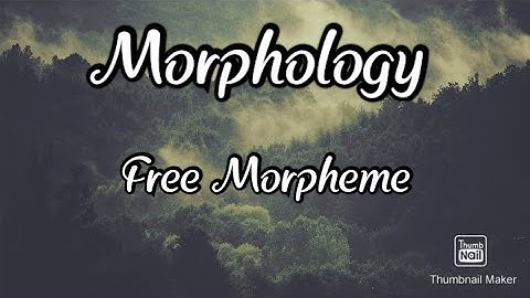 Zero Morpheme/Suffix