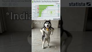 #subscribe #funny #comedy #cute #india #trending #trailar #dance #viral #shorts #dog