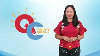 QC Alam Mo Ba - Marriage Registration