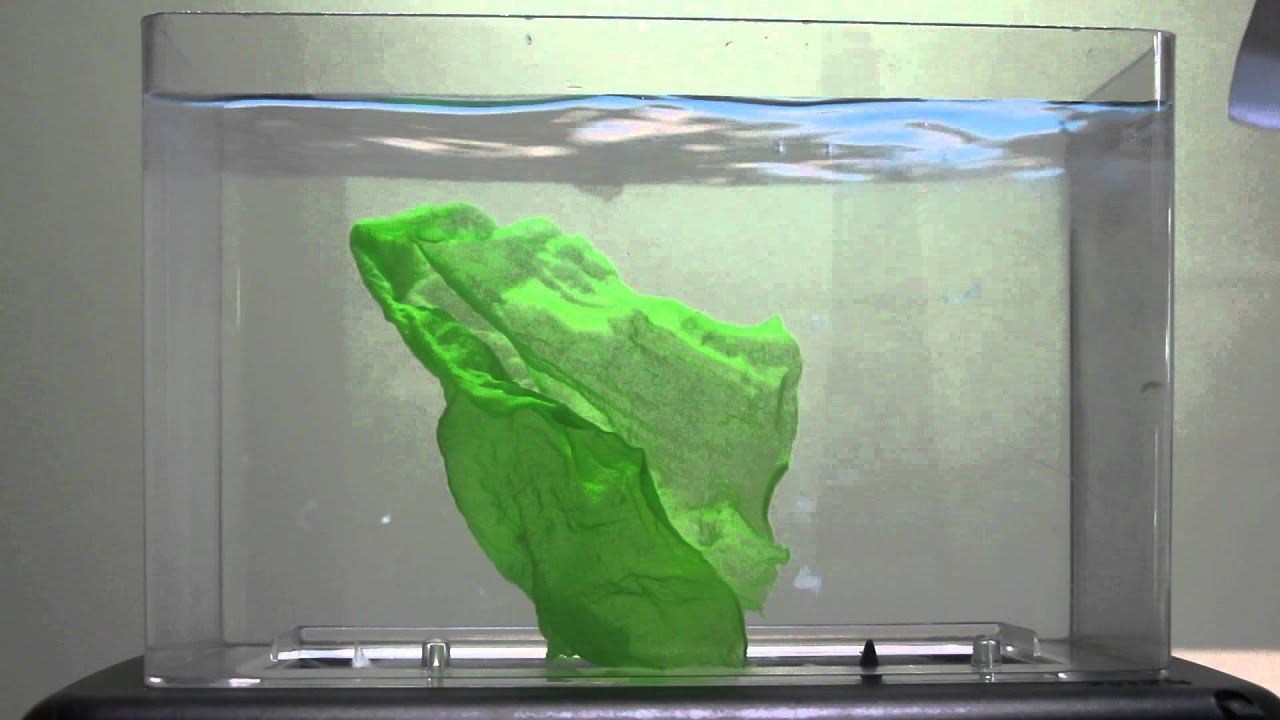 MVI 5272 Form in Motion Fabric