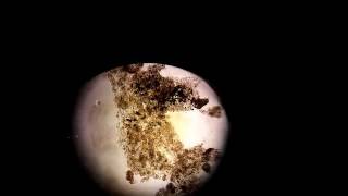 20161020台群生物2 1