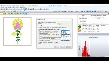 How to Convert Embroidery files using Batch Conversion of SewWhat Pro