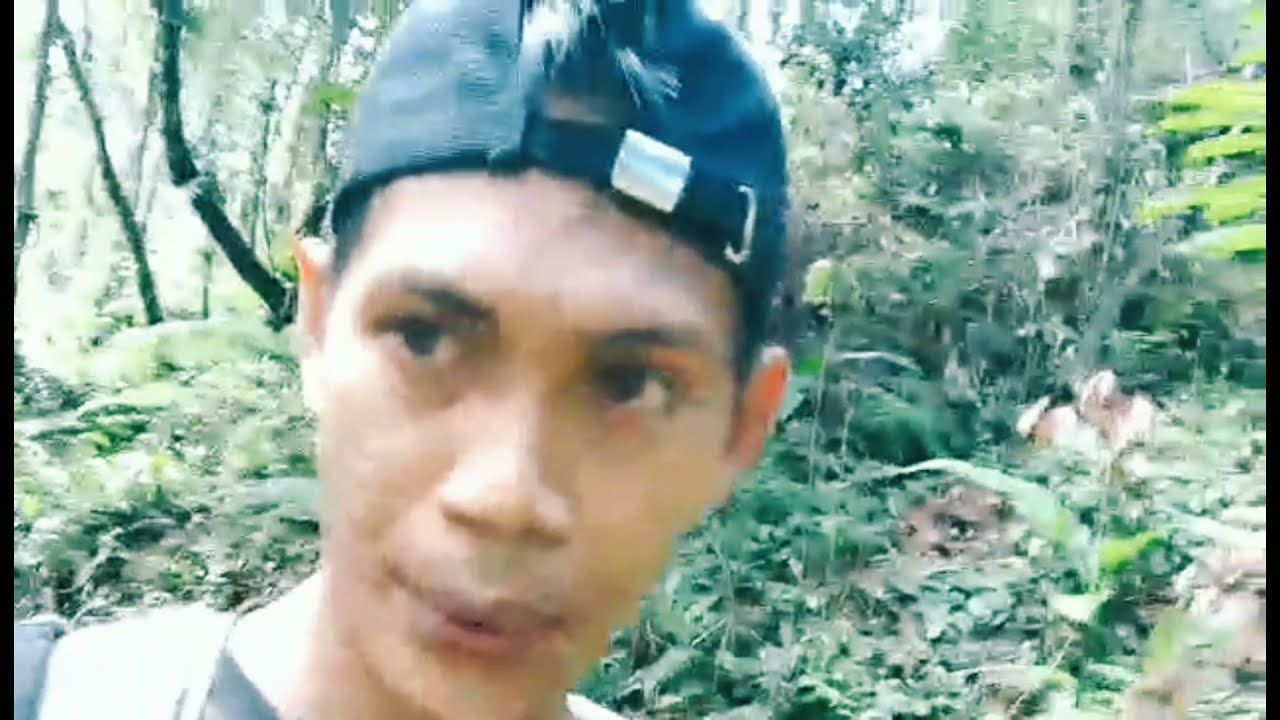 Abaca Farm in Catanduanes Philippines // Kuawel TV