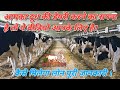 डेयरी बिज़नेस की पूरी जानकारी कैसे मिलेगा लोन ||Dairy farming in india||Dairy farm bussiness||NABARD