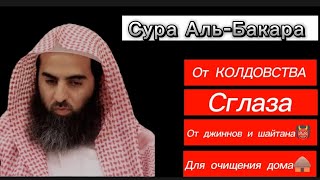 Сура Аль-Бакара. Защита ДОМА от всего плохого (СИХРА,СГЛАЗА,ДЖИННОВ,ШАЙТАНА.. Слушайте каждый день🌒