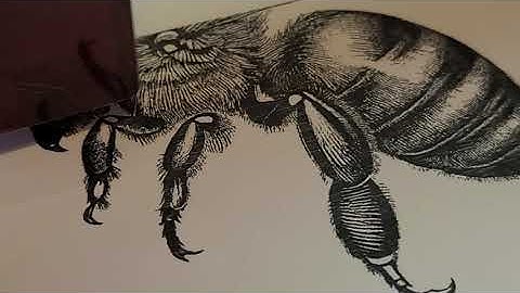 Laser Engraving a Ceramic Tile With a Honeybee From Bing AI Using Titanium Dioxide