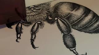Laser Engraving a Ceramic Tile With a Honeybee From Bing AI Using Titanium Dioxide