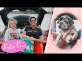 KATIE PRICE: PRINCESS PUPPY PRESENTS (CUTE!)