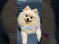 この笑顔100円♡