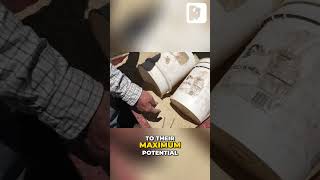 Chicken Diet Secrets (Click above to watch the full video)