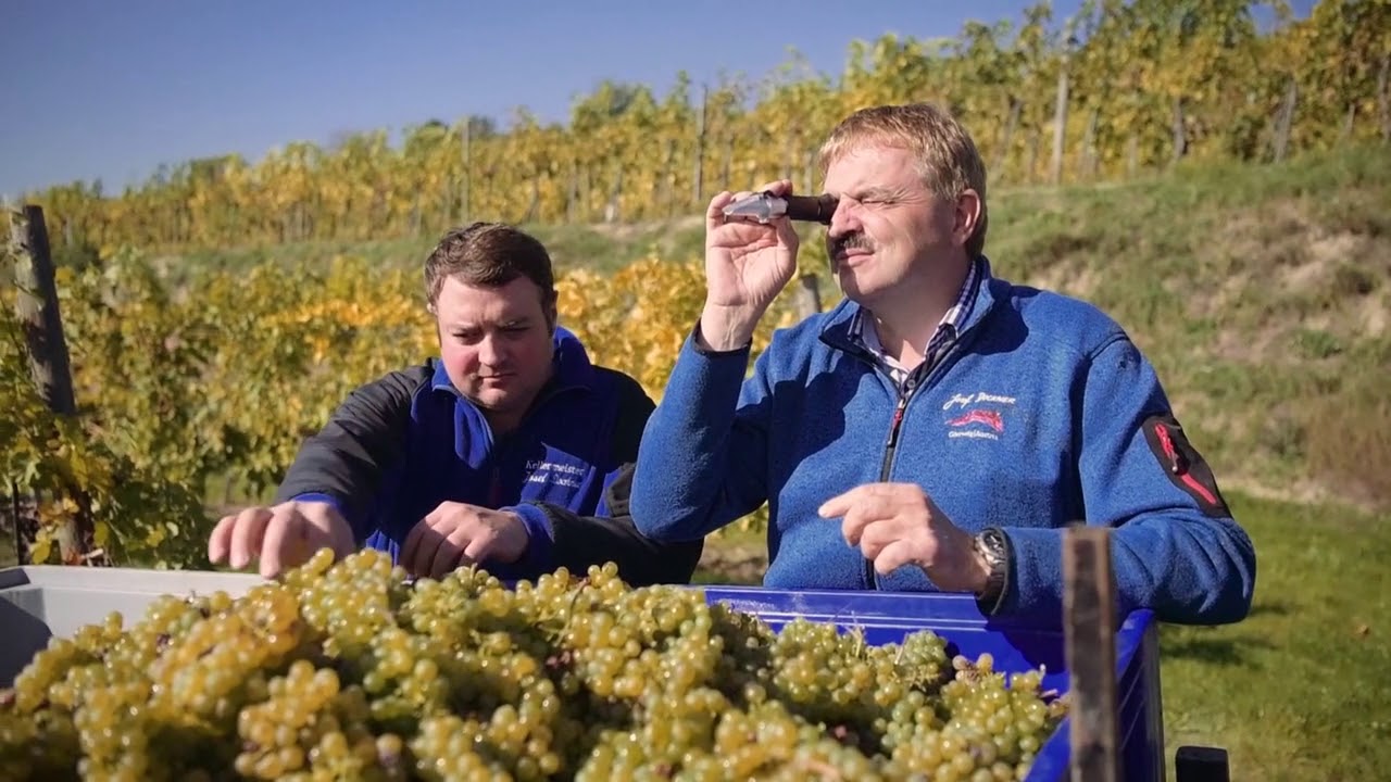 Weingut Dockner Imagefilm 2020   7min