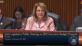 Senator Pam Helming Questions NYS Health & Financial Services Officials at Budget Hearing