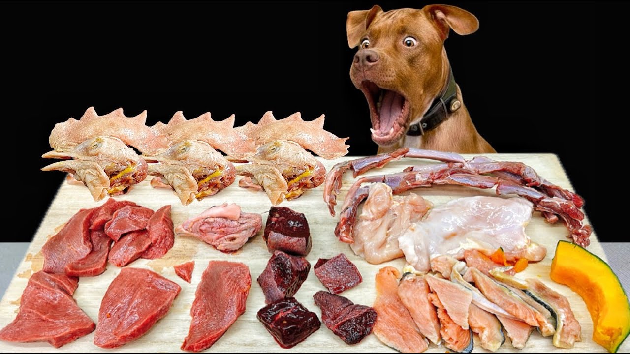 ЛУЧШАЯ СОБАКА АСМР МУКБАНГ ПИТБУЛЬ ЕДИТ СЫРОЕ