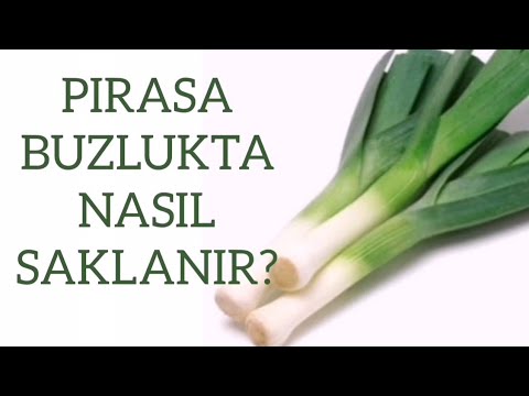 pirasa buzlukta nasil saklanir youtube