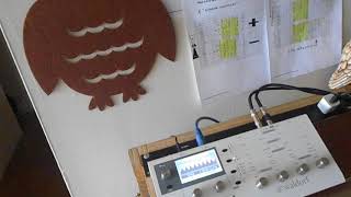 Waldorf Blofeld Hacks 24 Physical Modelling With Noise