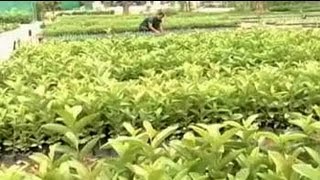 Eco Task Force: Greening the hills