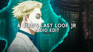 A bird's last look jersey remix - macabre plaza [edit audio]