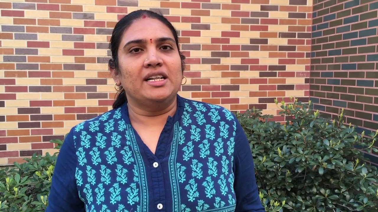 CWC Multicultural Fest 2018