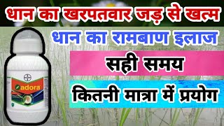 धन खरपतवर नयतरण क दव अडर Adora Paddy Herbicide