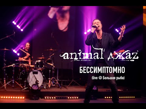 Animal ДжаZ — Бессимптомно (Live @ Мой музыкальный)