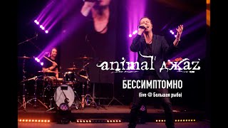 Animal ДжаZ — Бессимптомно (Live @ Мой музыкальный)