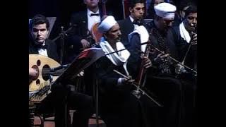 موسيقى الضوء الشارد ( نسخة أصليه ) - الموسيقار ياسر عبد الرحمن | Yasser Abdelrahman - Stray light