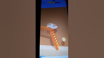 Hamster maze level 2