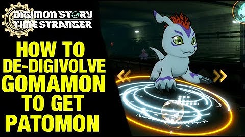 How To Change Gomamon